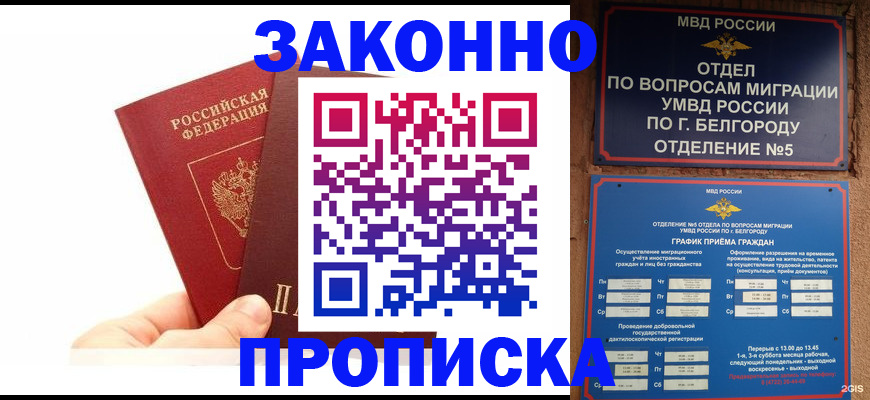 временная регистрация для школы в Дальнегорске